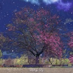 Stranger Sky