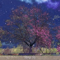 Stranger Sky (feat. Gingered) - Single - IcoS