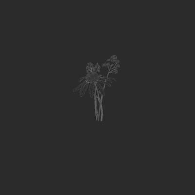 Night - Single