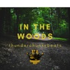 In the Woods - Single