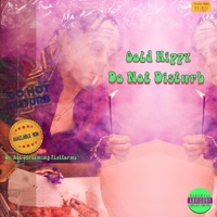 Do Not Disturb - Single - Gold Hippy