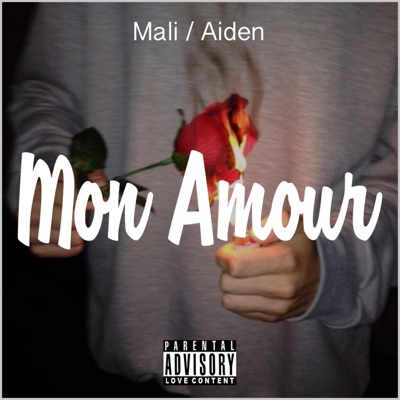 Mon Amour (feat. Aiden) - Single