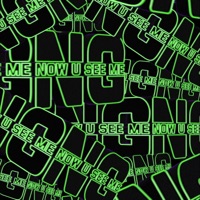 Now You See Me - Single - NG