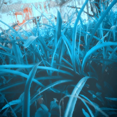 Kold Kase: Bleu Heart - EP