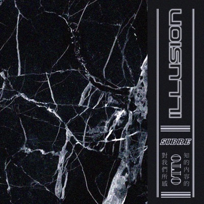 Illusion - Single