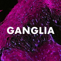 Ganglia - Andrew Huang