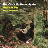 You Can’t Go Home Again (with Adam Garrett & Uly) artwork