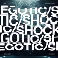Egotic / Shocked - Single - Vici