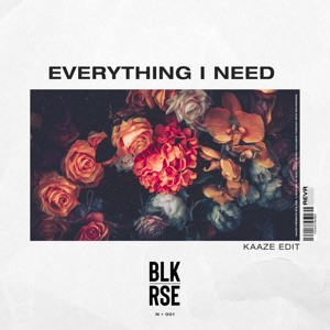Everything I Need (Kaaze Edit) - Single