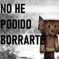 No He Podido Borrarte (feat. Mc Stoner) - Single