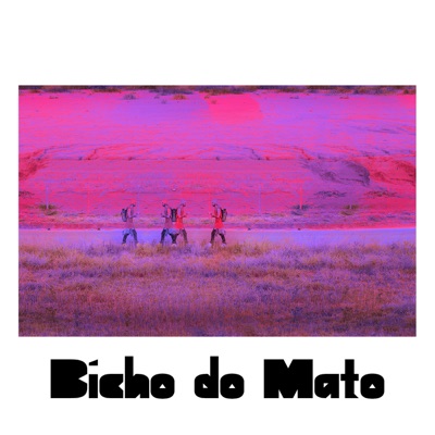 Bicho do mato (feat. Jay Lucca) - Single