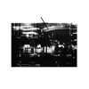 Language Shapes Your Mind - Single