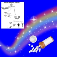 Lsd - Single - Snoozyshemp