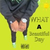What a Beautiful Day - Single