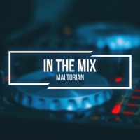 In the Mix - Single - Maltorian