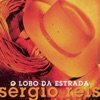 O Lobo da Estrada