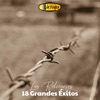 18 Grandes Éxitos, Vol. 1