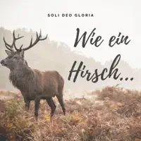 Wie ein Hirsch