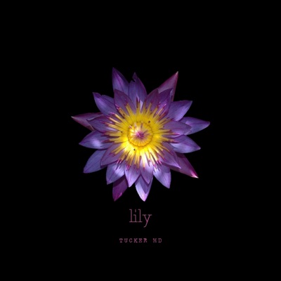Lily - Single