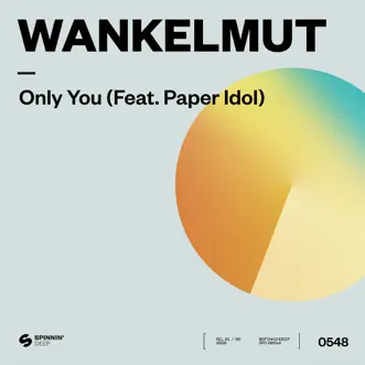 Only You (feat. Paper Idol) [Extended Mix] by Wankelmut song reviws