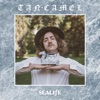 Sealife - Starboard Hotel