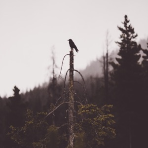 The Space Between - Single