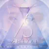 Bryan Divisions - Mirror