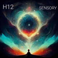 Sensory - Single - H12