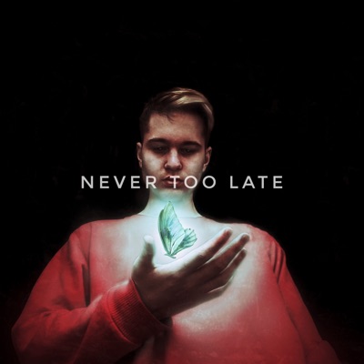 Never Too Late - Single