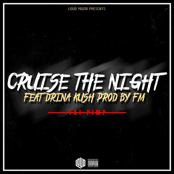 Cruise the Night (feat. Drina Kush) - Single