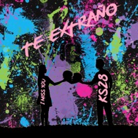 Te Extraño - Single - Ks28