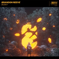 Bosky - Single - Brandon Reeve