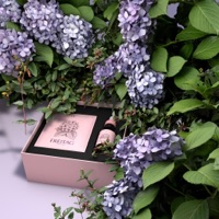 Freitag - Single - Search Yiu