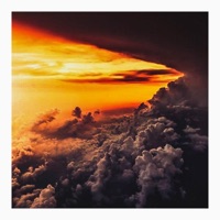 Pick a Side (feat. Cookie) - Single - Taylor Krom