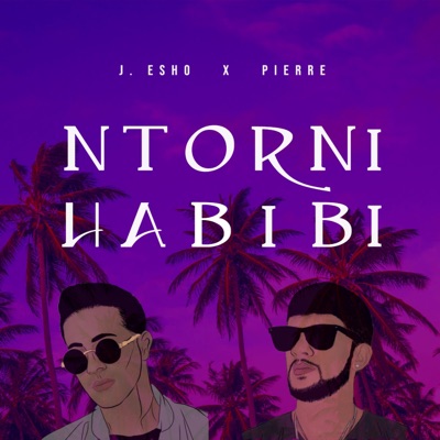 Ntorni Habibi (feat. Pierre) - Single