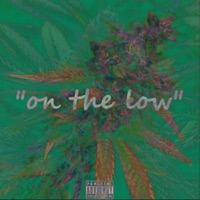 On the Low - Single - Hogan The Young