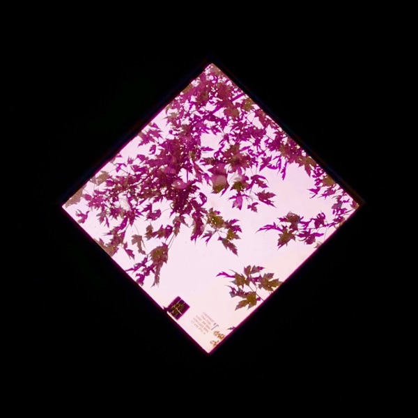 The Void II