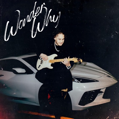 Wonder Why - Single