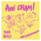 Ani Cham (Omri Smadar Remix) - Rina, Benji & Megaphonim lyrics