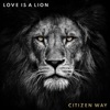 Love Is a Lion