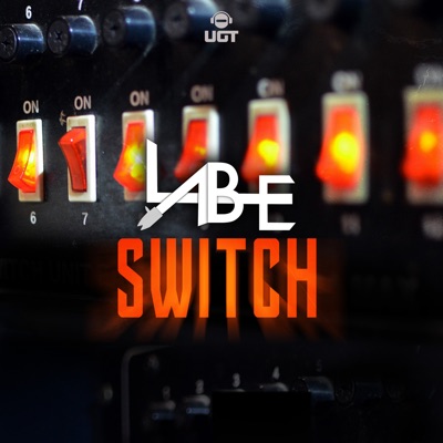 Switch - Single
