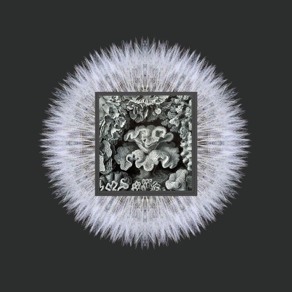 Jet Lag - Single