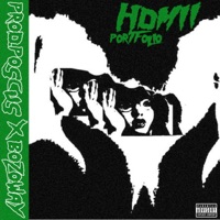 Portfolio - Single - Hdmii