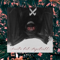 Sonata Del Pipistrello - Red Sinapsy