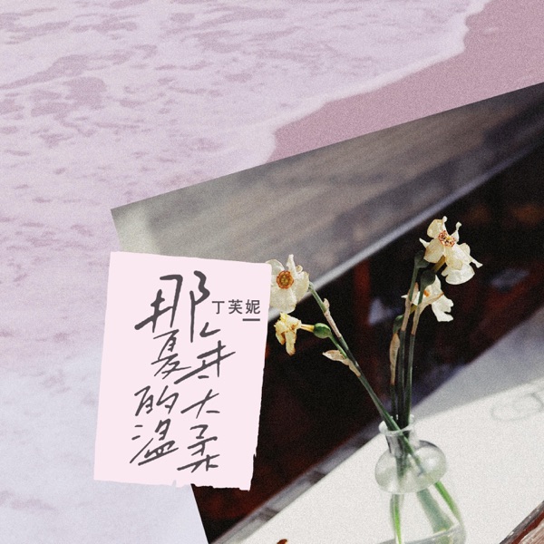 那年夏天的温柔 - Single