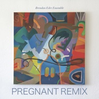 Eder Ensemble (Pregnant Remix) - Single - Brendan Eder Ensemble & Pregnant