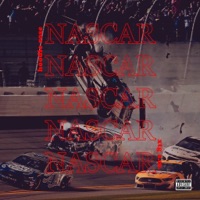 Nascar - Single - Hoodie Rose & AM