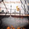 Larry Bird - Single