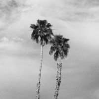 Winter in the Desert - Single - Homage