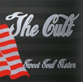 Sweet Soul Sister (Live) artwork